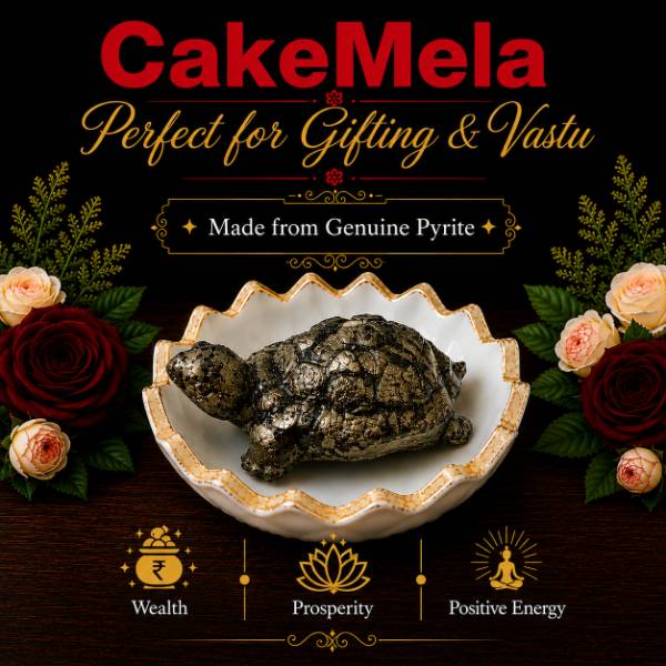 Pyrite Turtle Gift in Ranchi